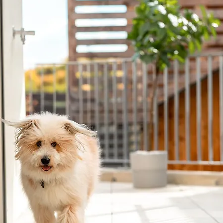 شقة Opensky Woerthersee Pörtschach am Wörthersee