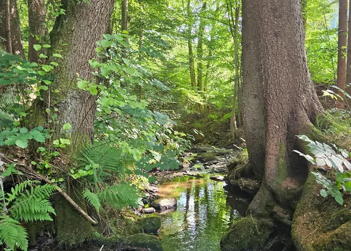 Opensky Woerthersee Portschach am Woerthersee